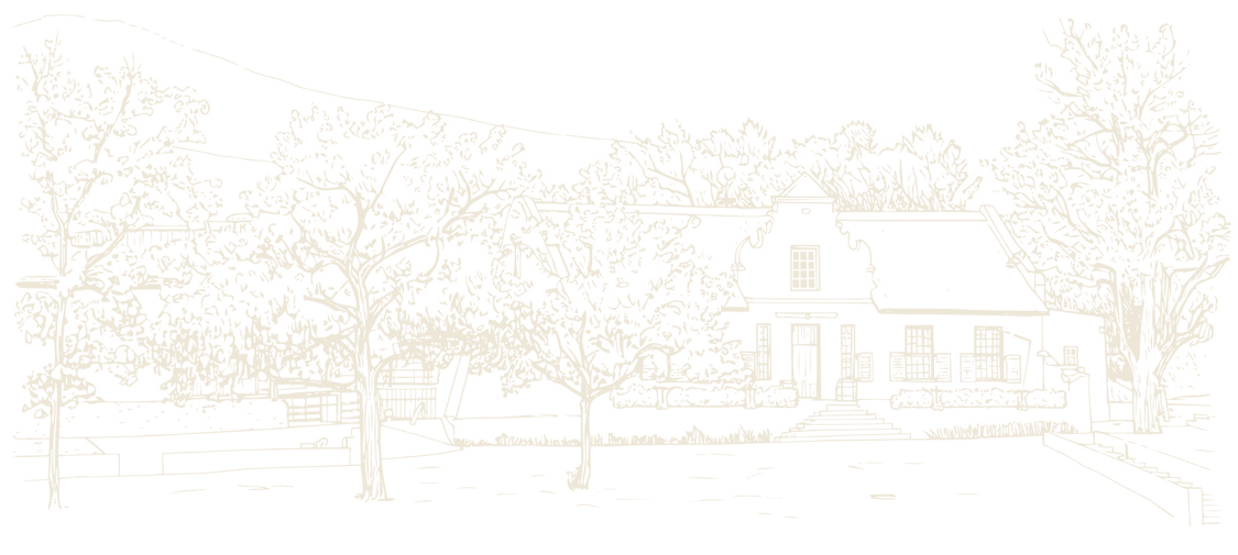 Line drawing of Lievland Vineyards